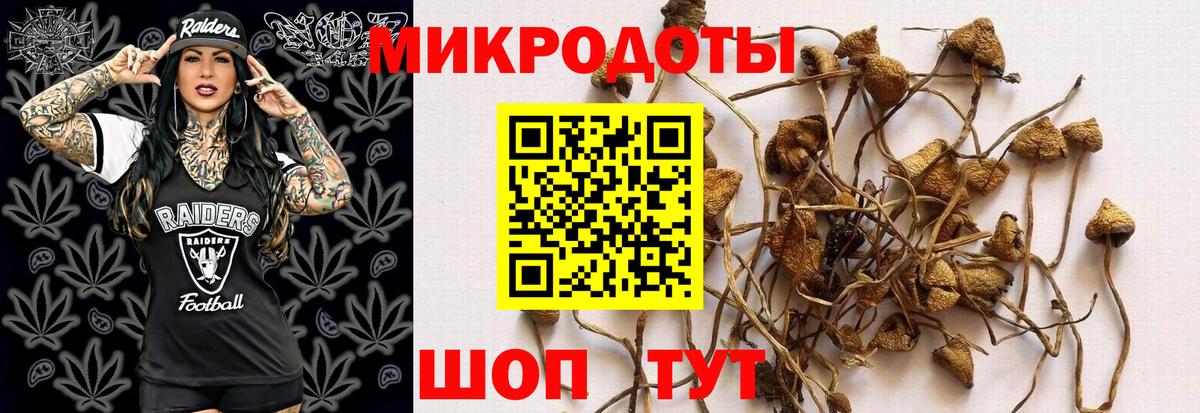 Галлюциногенные грибы Cubensis  Вход с VPN  Изобильный  Галлюциногенные грибы Magic Shrooms 